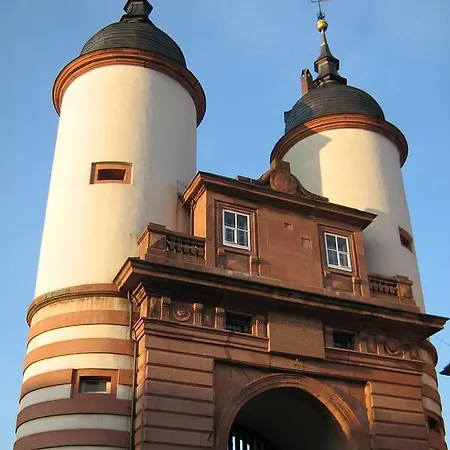 Hotel Rhein-neckar-hotel