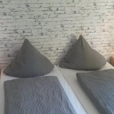 Rhein-neckar-hotel 2*